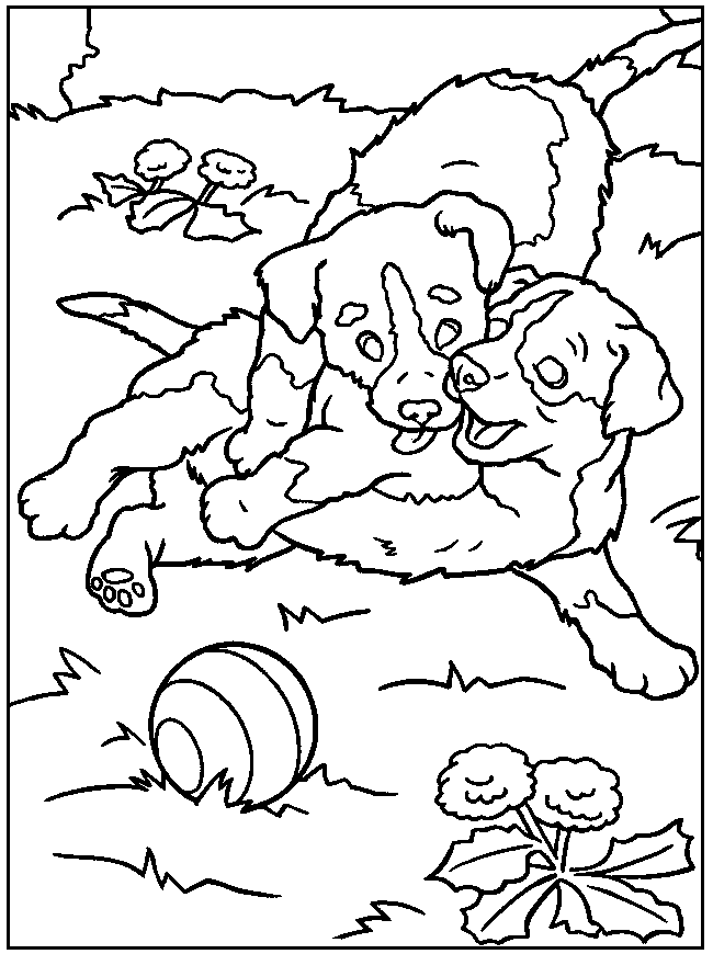 dog-coloring-page-0010-q1