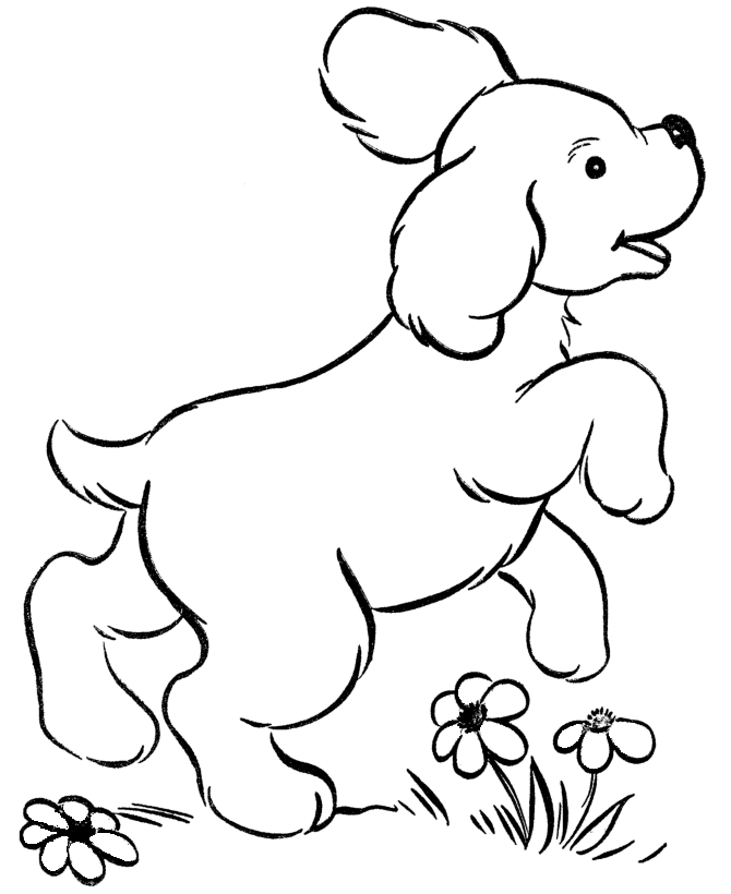 dog-coloring-page-0029-q1
