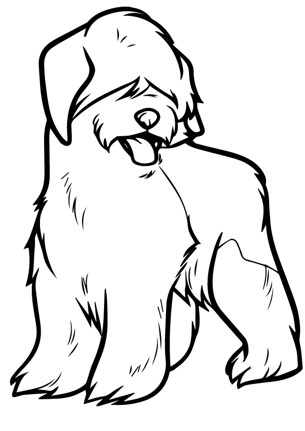dog-coloring-page-0065-q2