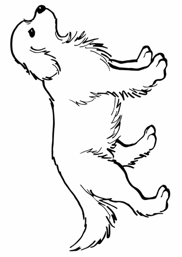 dog-coloring-page-0067-q2