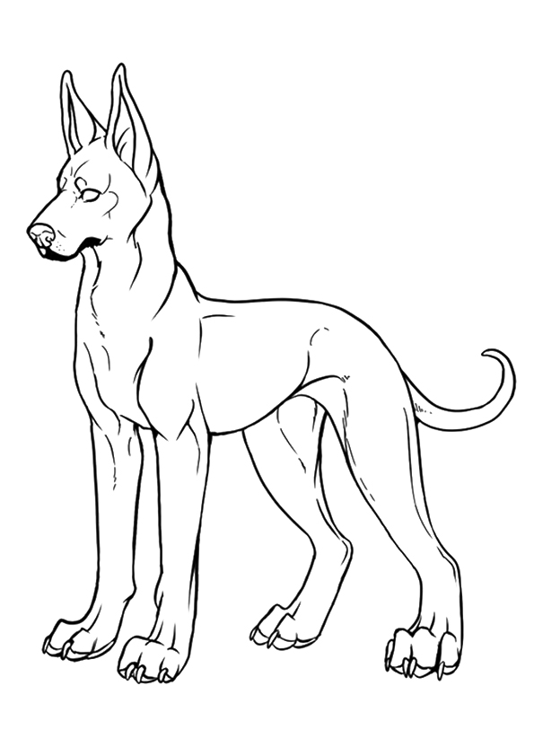 dog-coloring-page-0069-q2