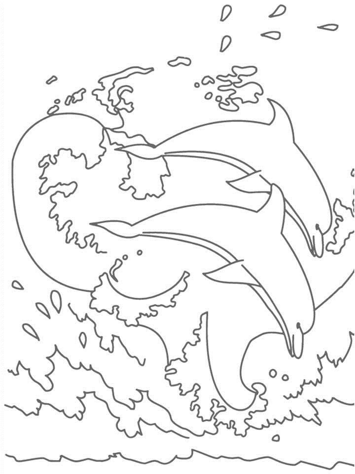 dolphin-coloring-page-0021-q1