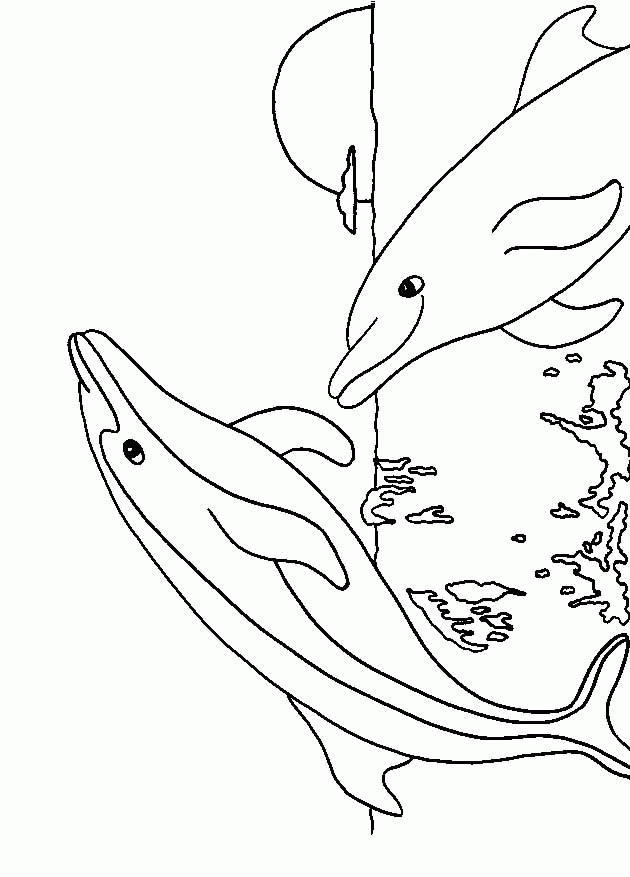 dolphin-coloring-page-0034-q1