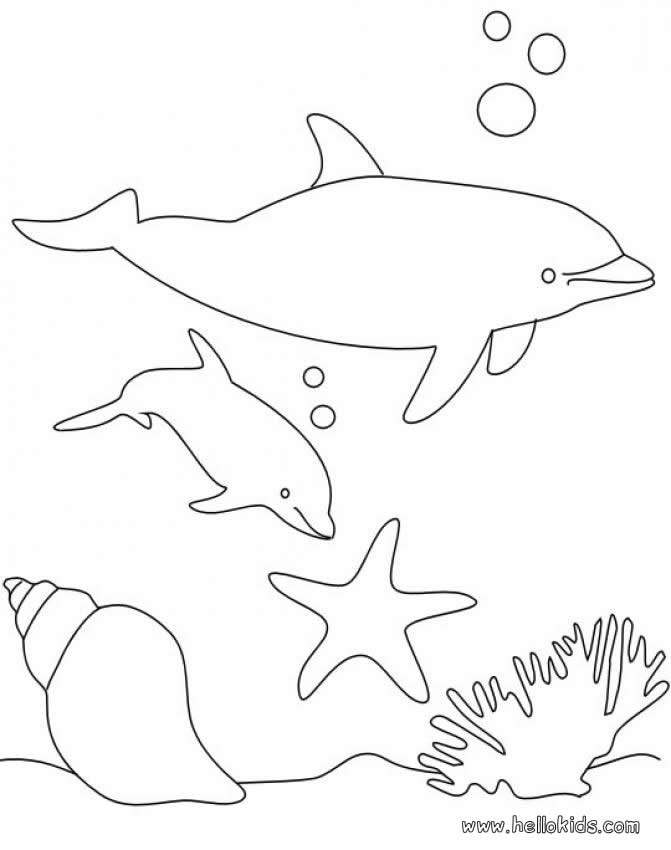 dolphin-coloring-page-0046-q1