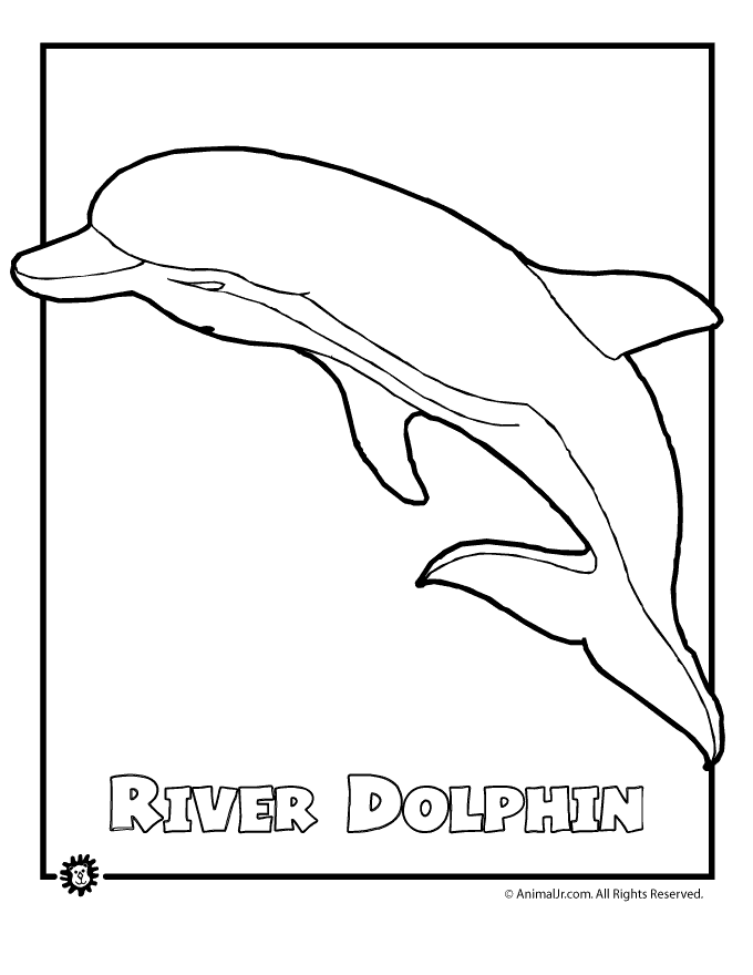 dolphin-coloring-page-0056-q1