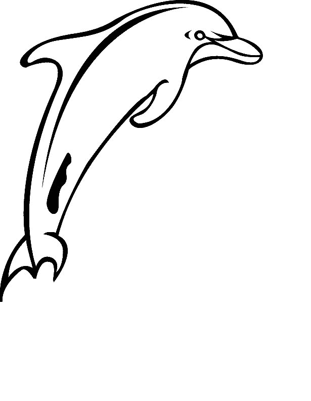 dolphin-coloring-page-0063-q1