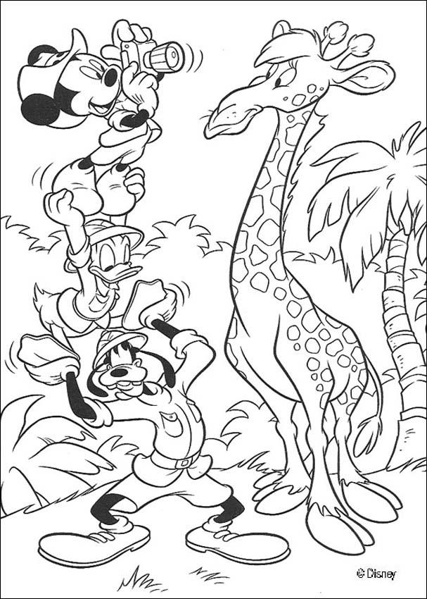 donald-duck-coloring-page-0013-q1