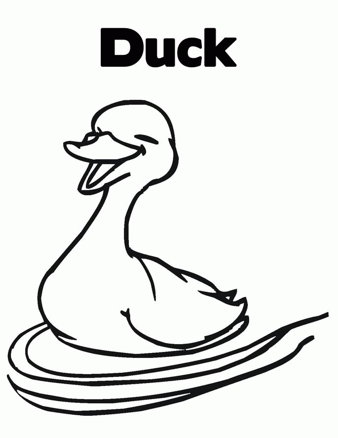 Duck: Coloring Pages & Books - 100% FREE and printable!