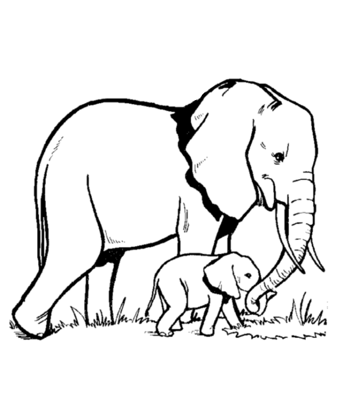 elephant-coloring-page-0040-q1