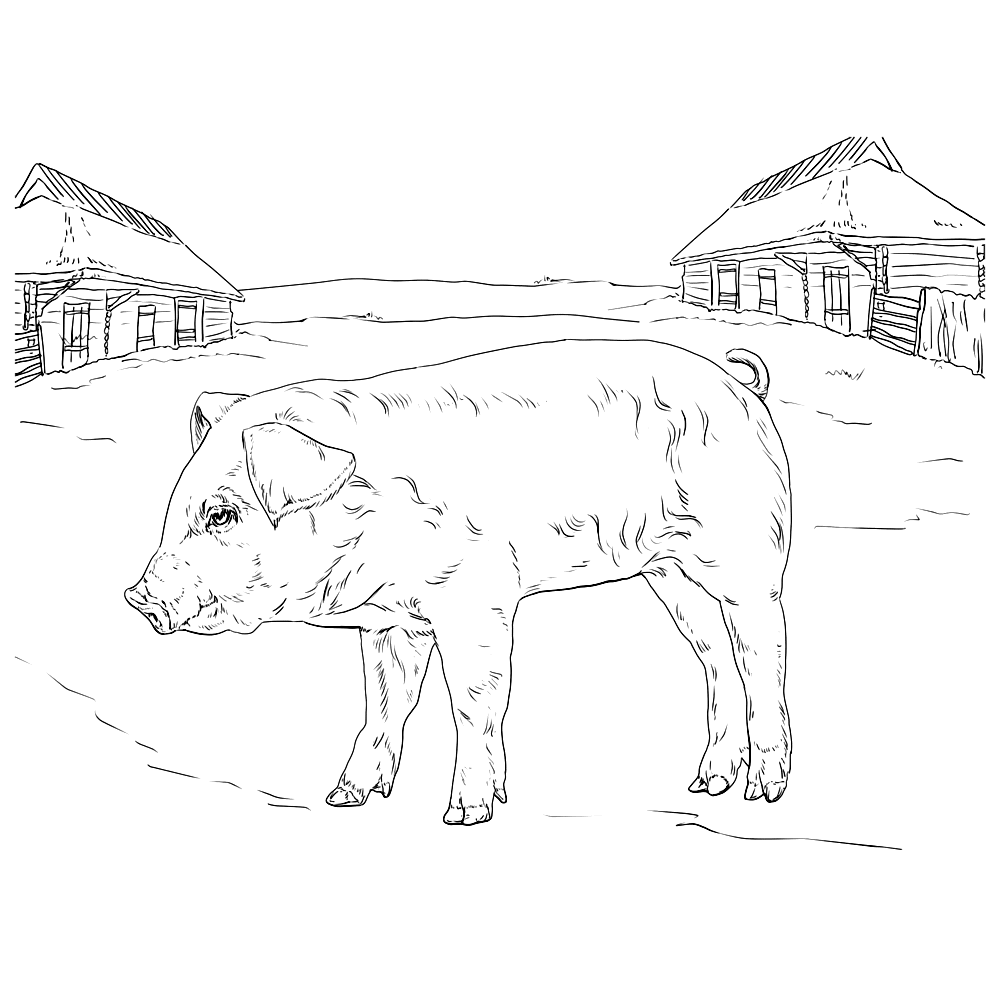 farm-coloring-page-0061-q4