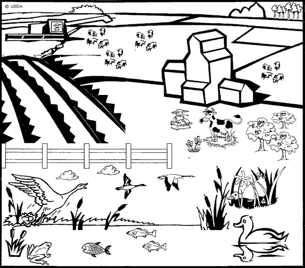 farm-animal-coloring-page-0010-q3