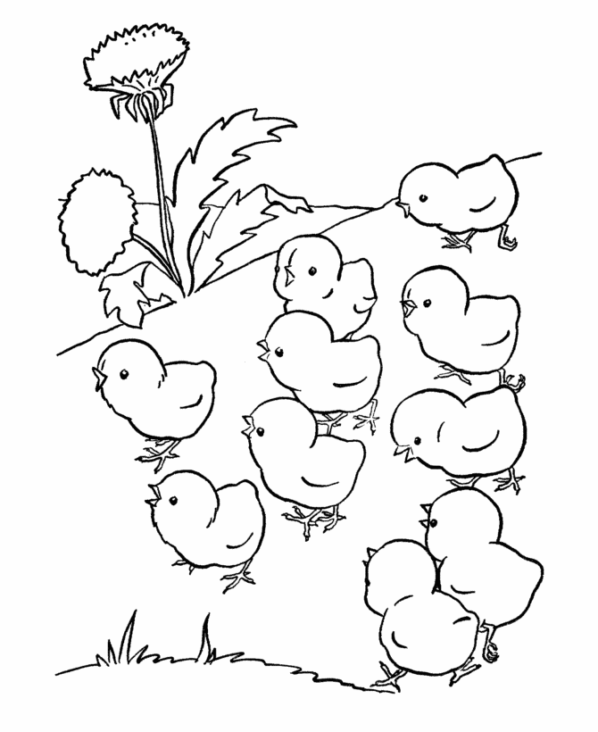 farm-animal-coloring-page-0022-q1