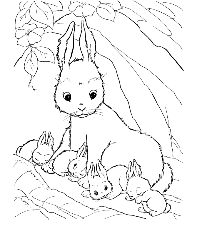 farm-animal-coloring-page-0042-q1