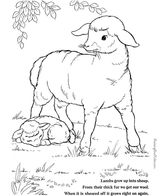 farm-animal-coloring-page-0044-q1