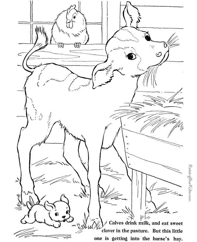 farm-animal-coloring-page-0060-q1