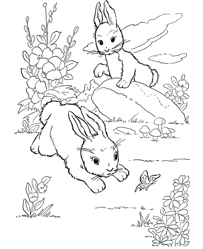 farm-animal-coloring-page-0061-q1