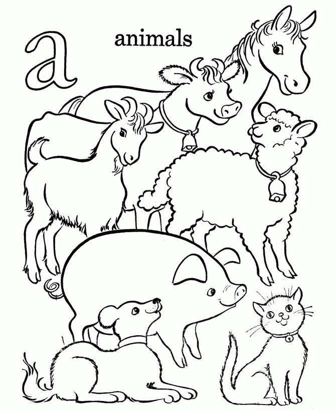 farm-animal-coloring-page-0104-q1