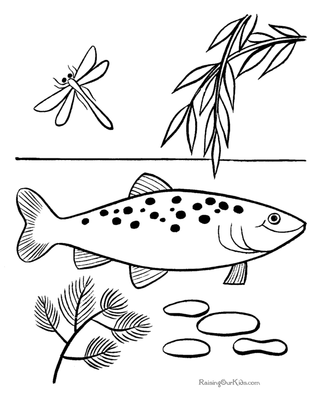 fish-coloring-page-0081-q1