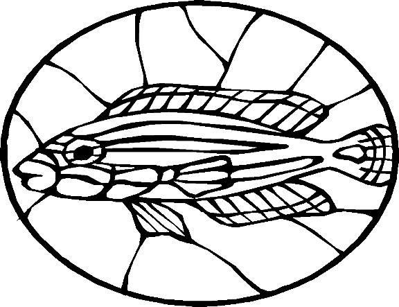 fish-coloring-page-0131-q3