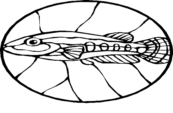fish-coloring-page-0141-q3