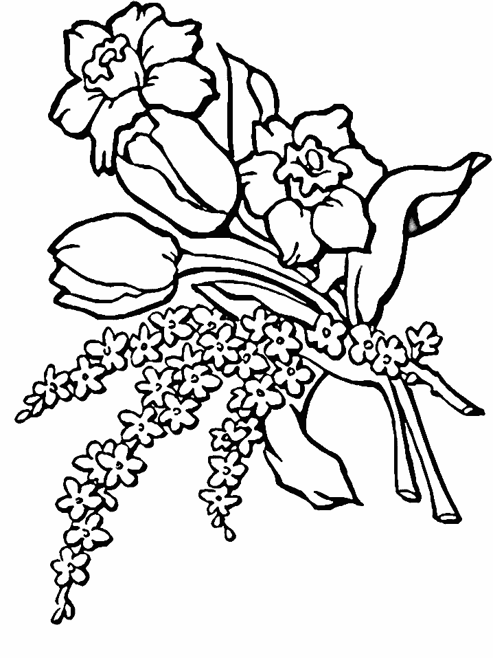 flower-coloring-page-0022-q1