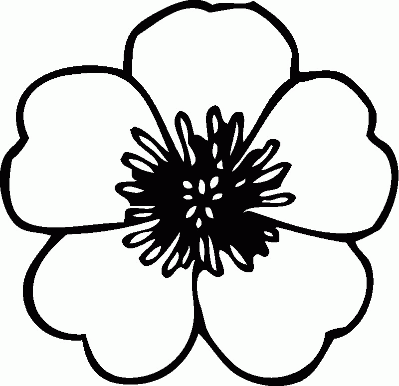 flower-coloring-page-0023-q1