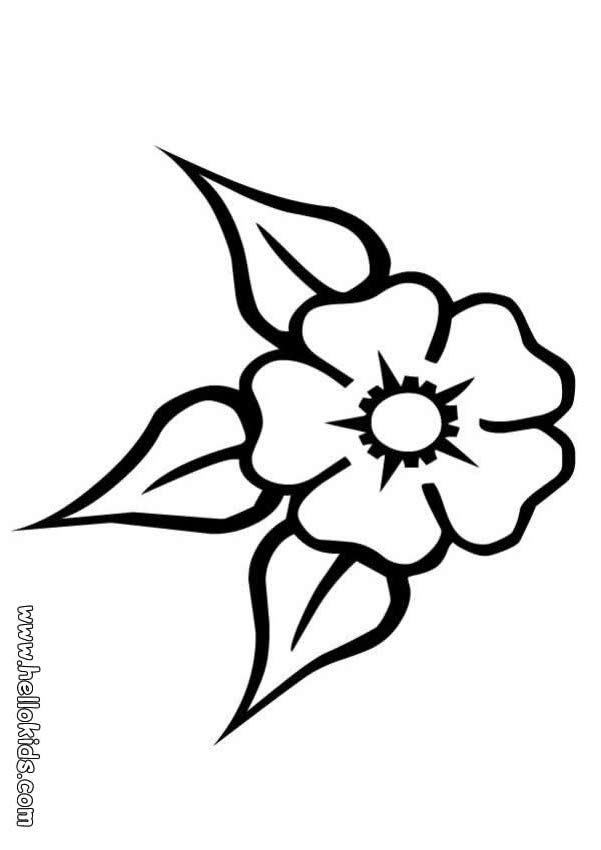 flower-coloring-page-0028-q1