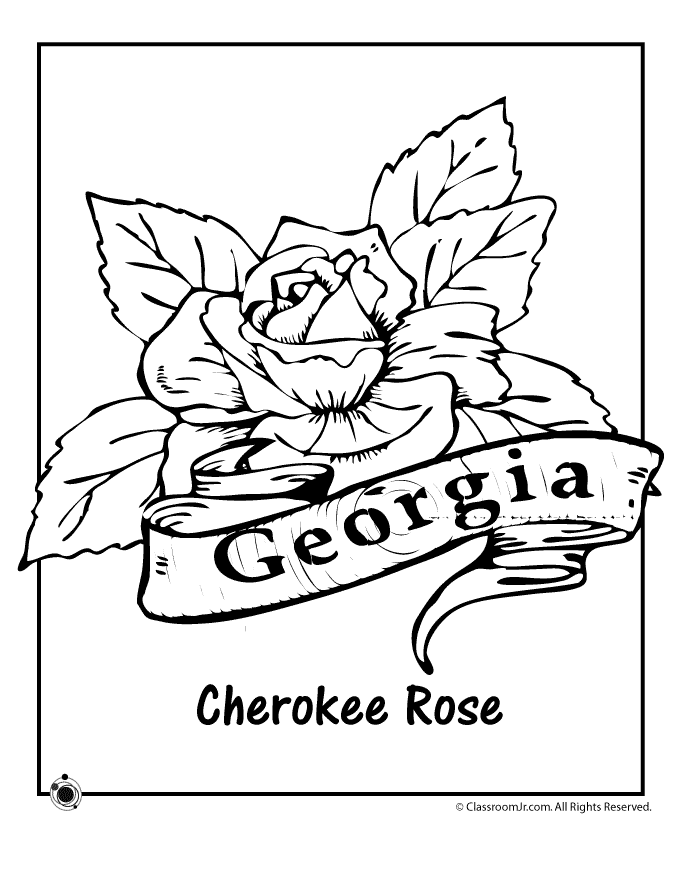 flower-coloring-page-0035-q1