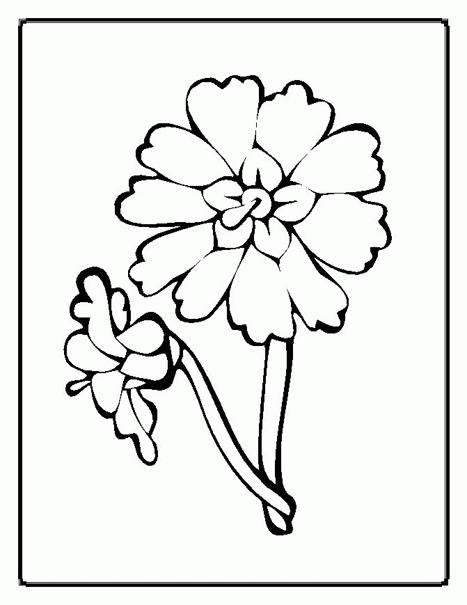 flower-coloring-page-0057-q1