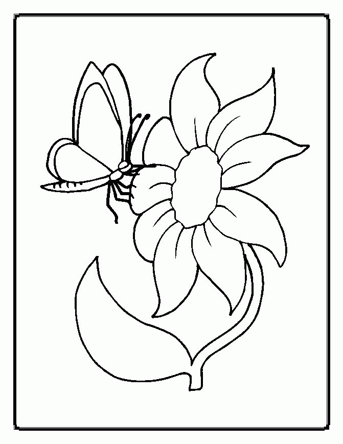 flower-coloring-page-0061-q1