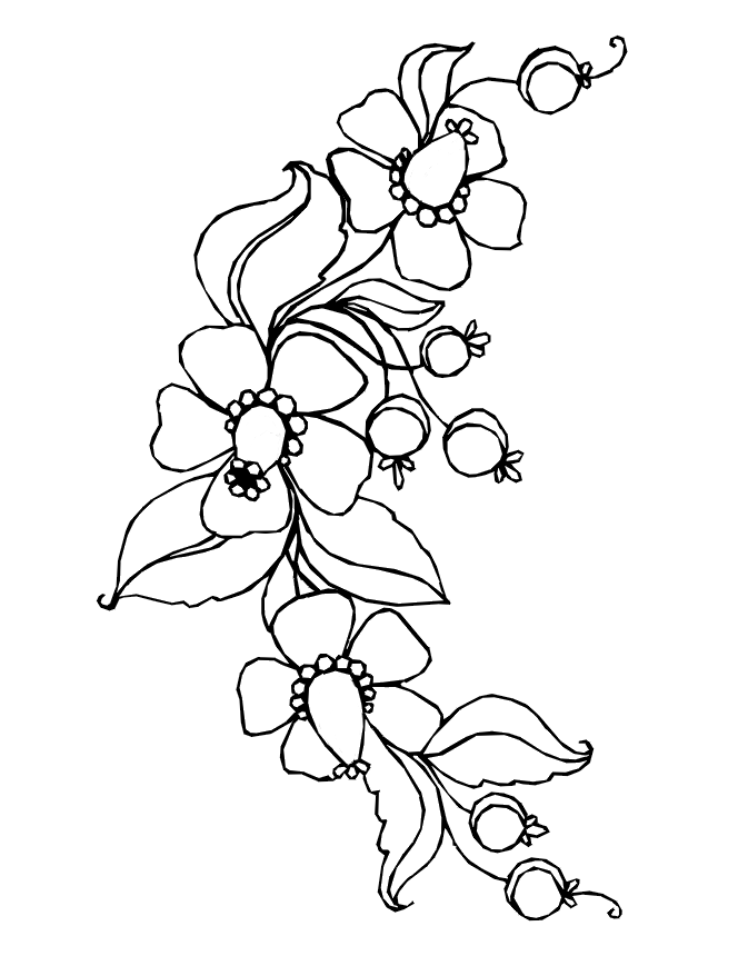 flower-coloring-page-0072-q1