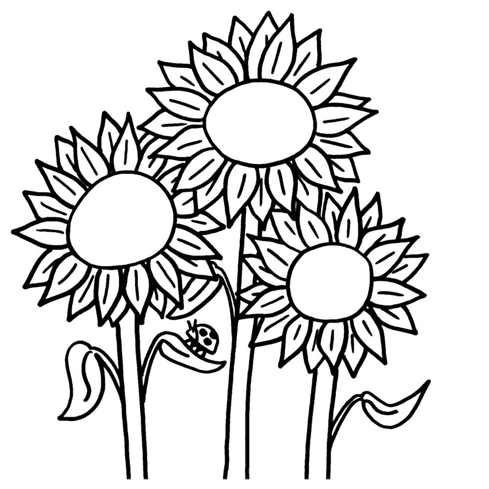 Flower Coloring Pages