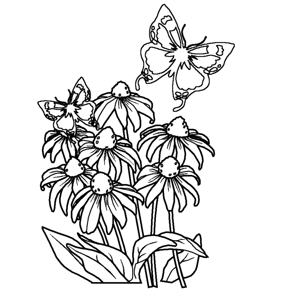 flower-coloring-page-0091-q4