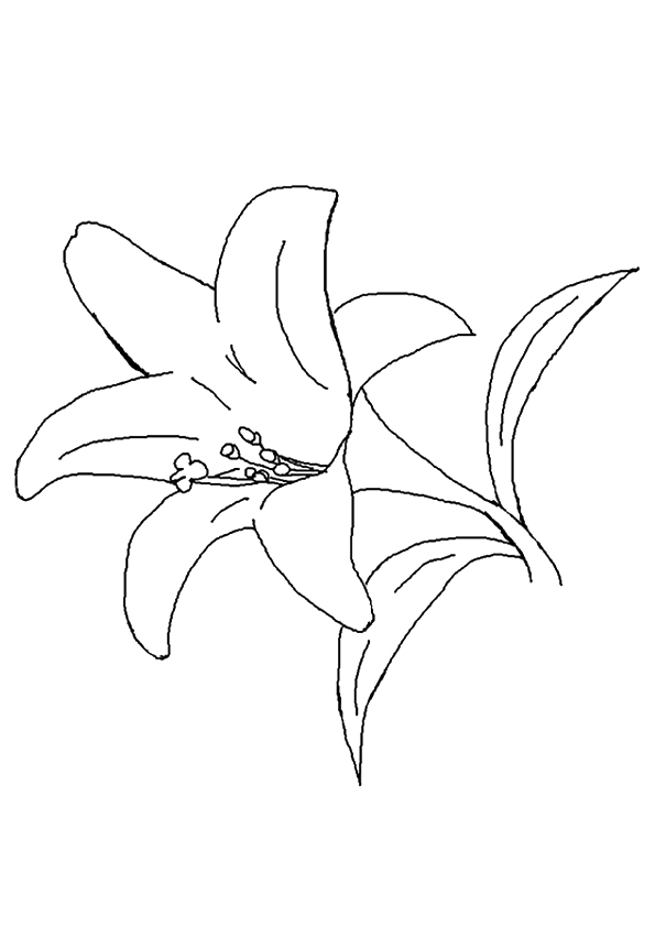 flower-coloring-page-0098-q2