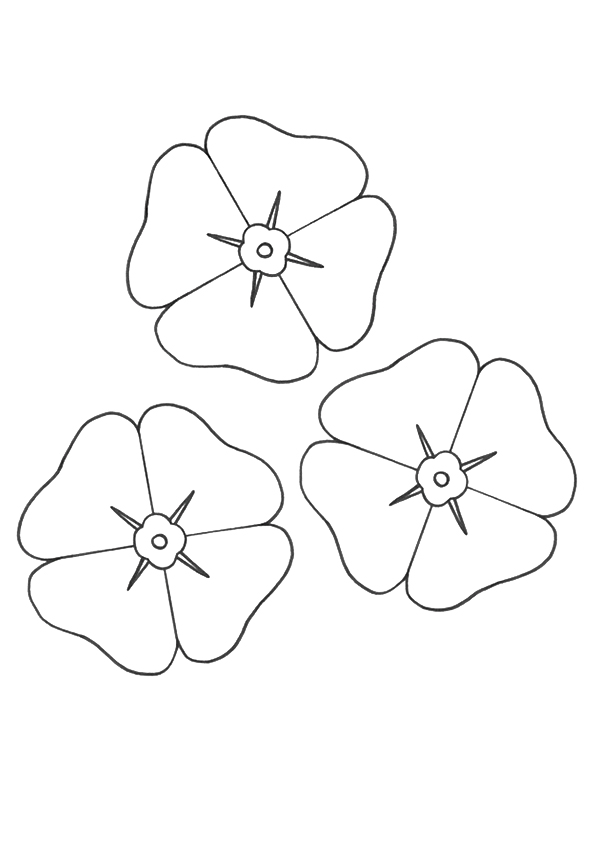 flower-coloring-page-0099-q2