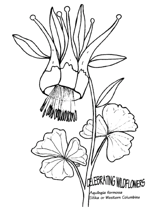 flower-coloring-page-0102-q3