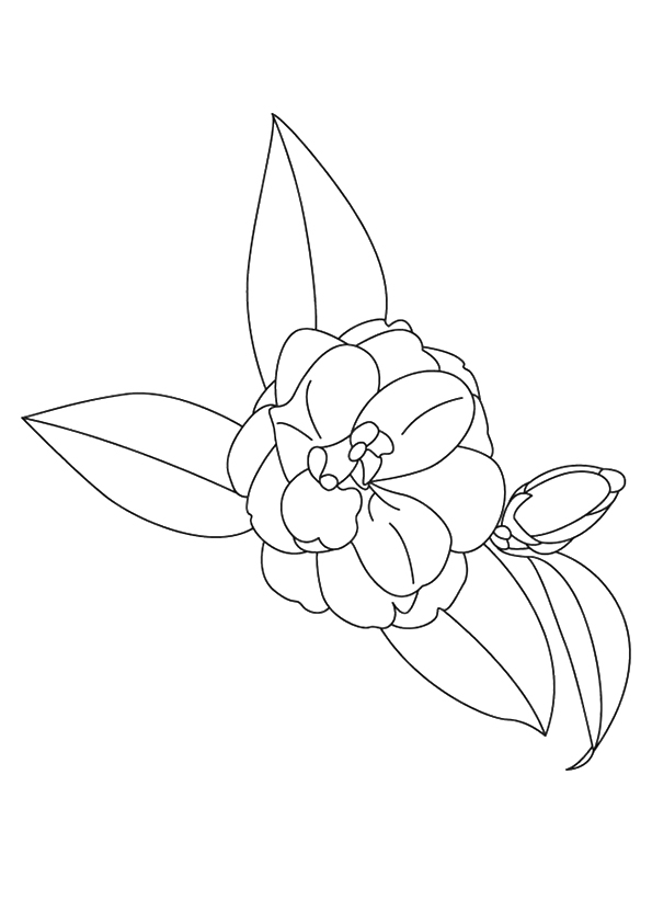 flower-coloring-page-0105-q2