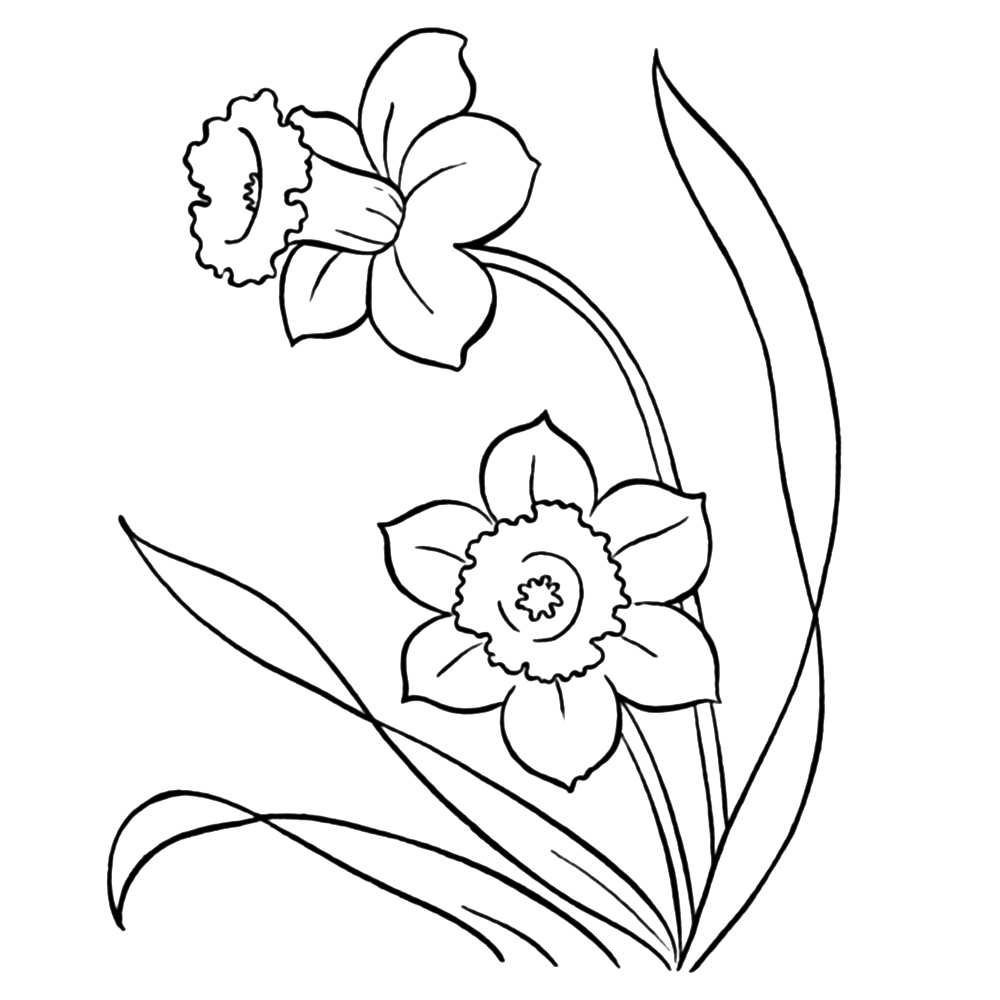 flower-coloring-page-0108-q4