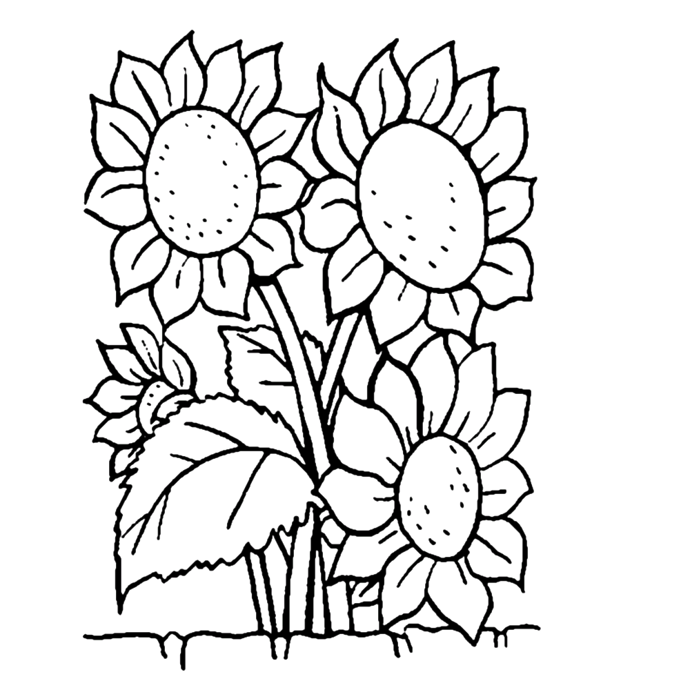 flower-coloring-page-0115-q4
