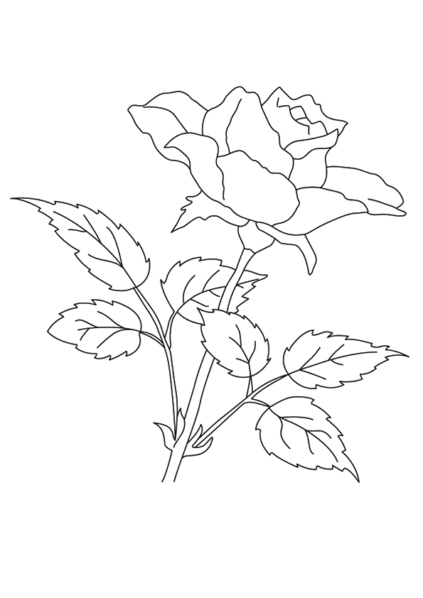 flower-coloring-page-0116-q2