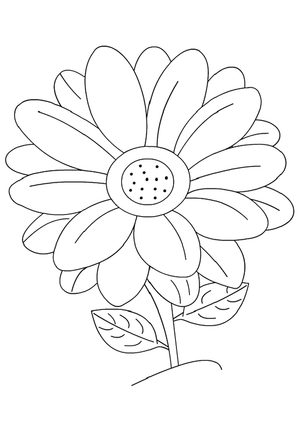 flower-coloring-page-0118-q2