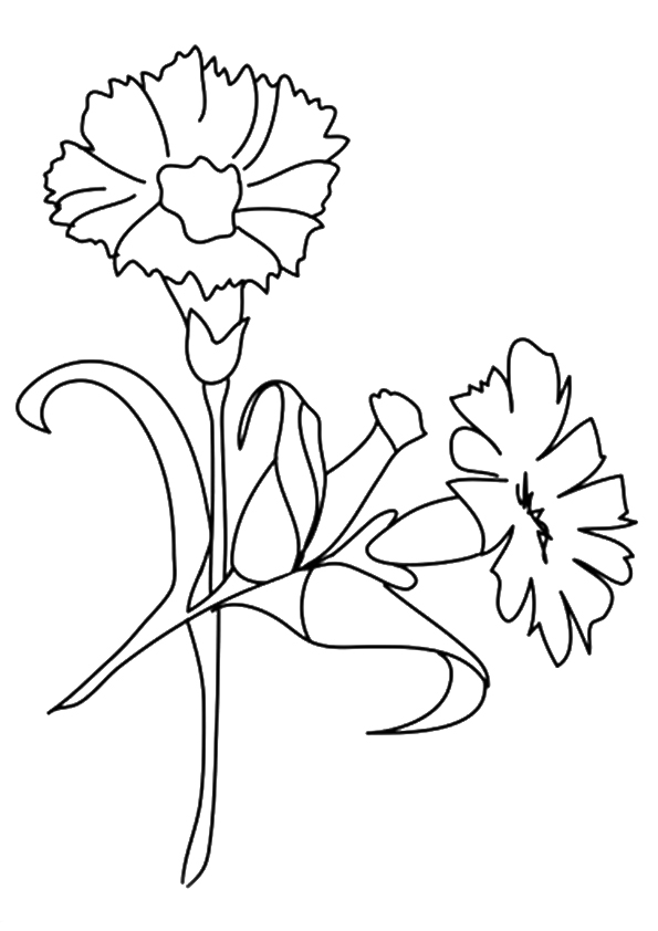 flower-coloring-page-0119-q2