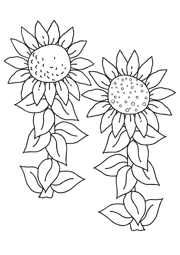 flower-coloring-page-0120-q2