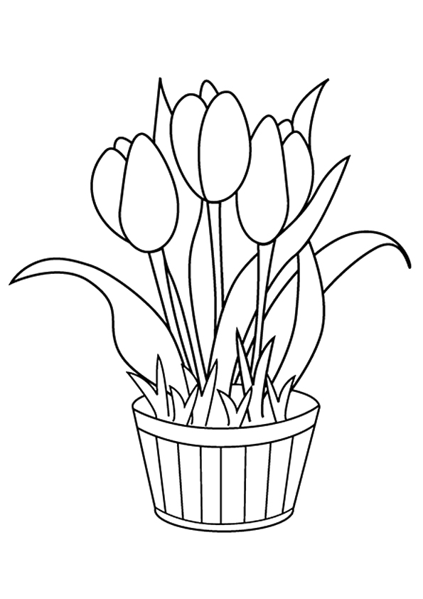 flower-coloring-page-0121-q2