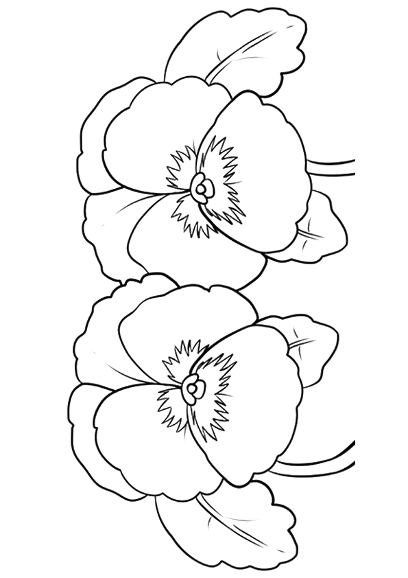 flower-coloring-page-0125-q2