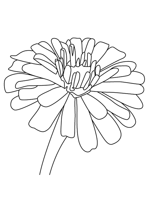 flower-coloring-page-0126-q2