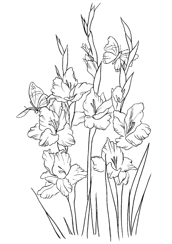 flower-coloring-page-0134-q2