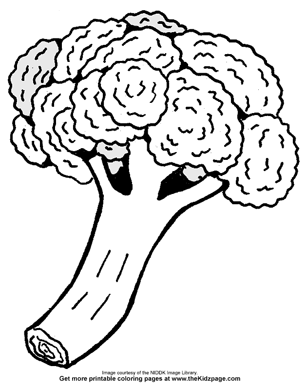 food-coloring-page-0036-q1