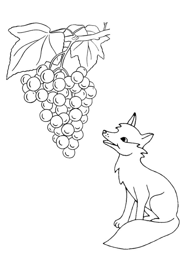 fox-coloring-page-0042-q2