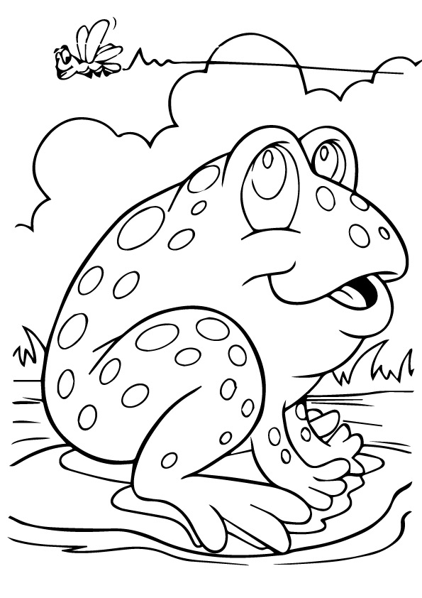 frog-coloring-page-0008-q2